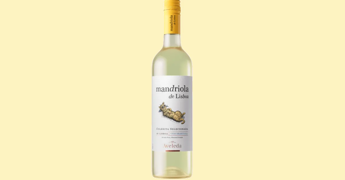Mandriola de Lisboa White