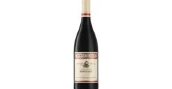 Zonnebloem Pinotage